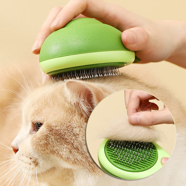 Pet Hair removal comb