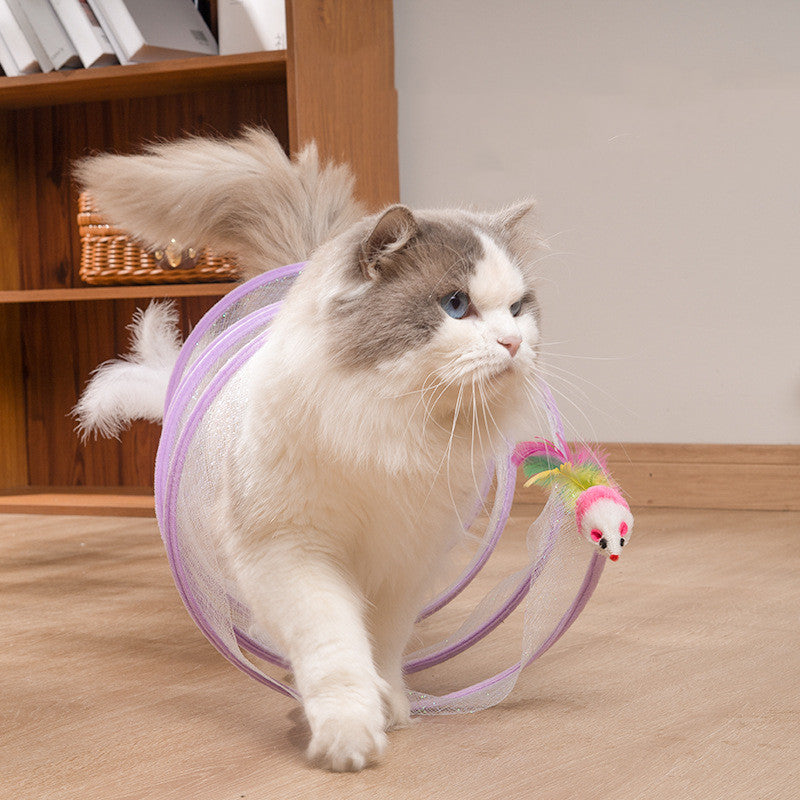 Cat Tunnel Toy