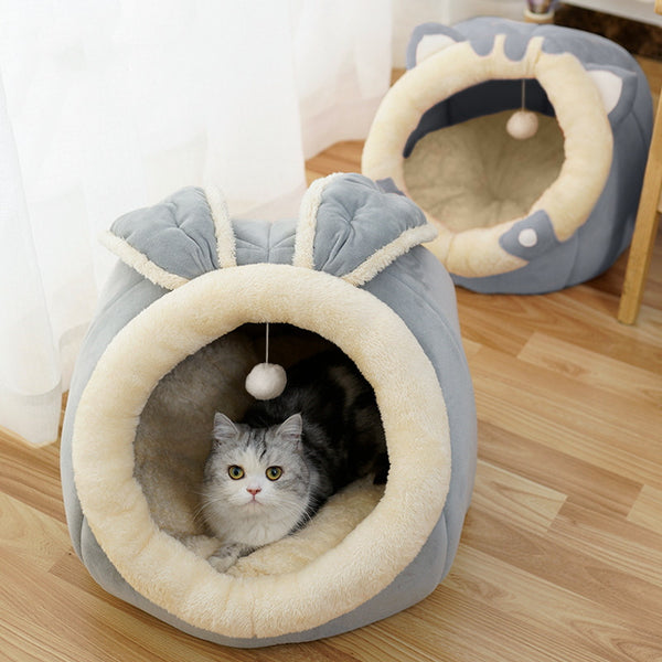 Cat House