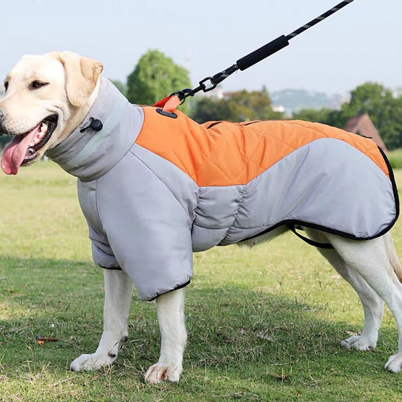 Pet padded coat