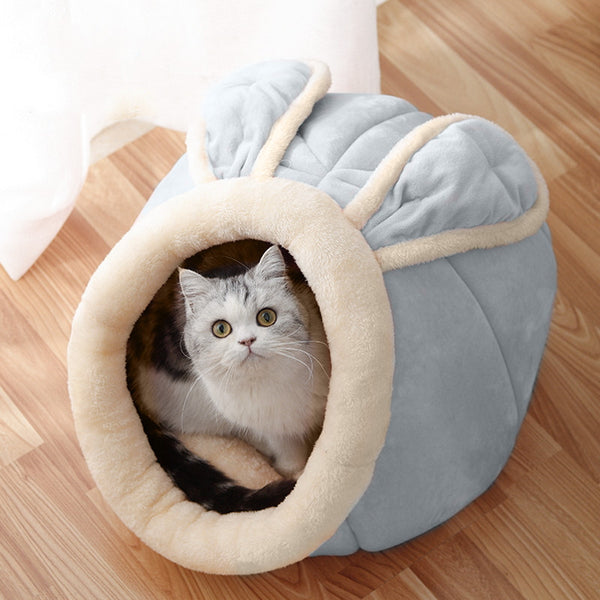 Cat House